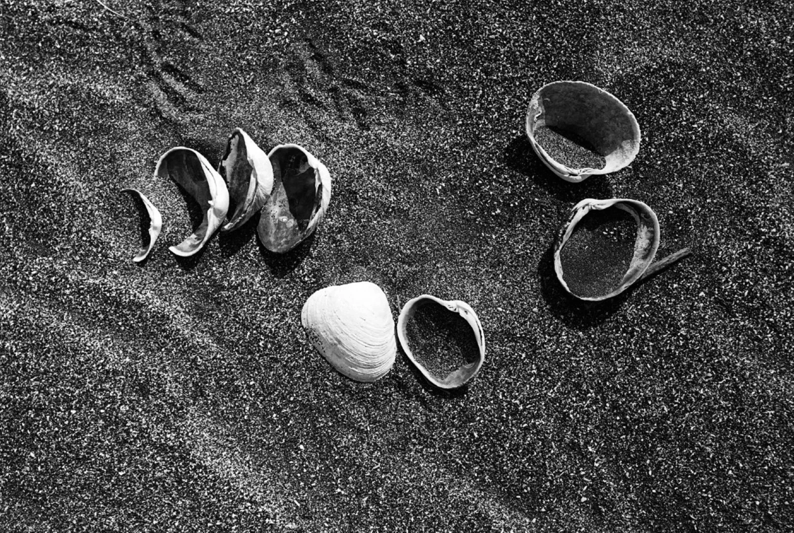 ゾルキー1とジュピター8の作例